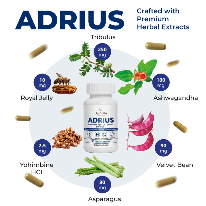 ADRIUS – Testosterone Booster for Men – 90 Capsules (Copy) Ananta Medicare