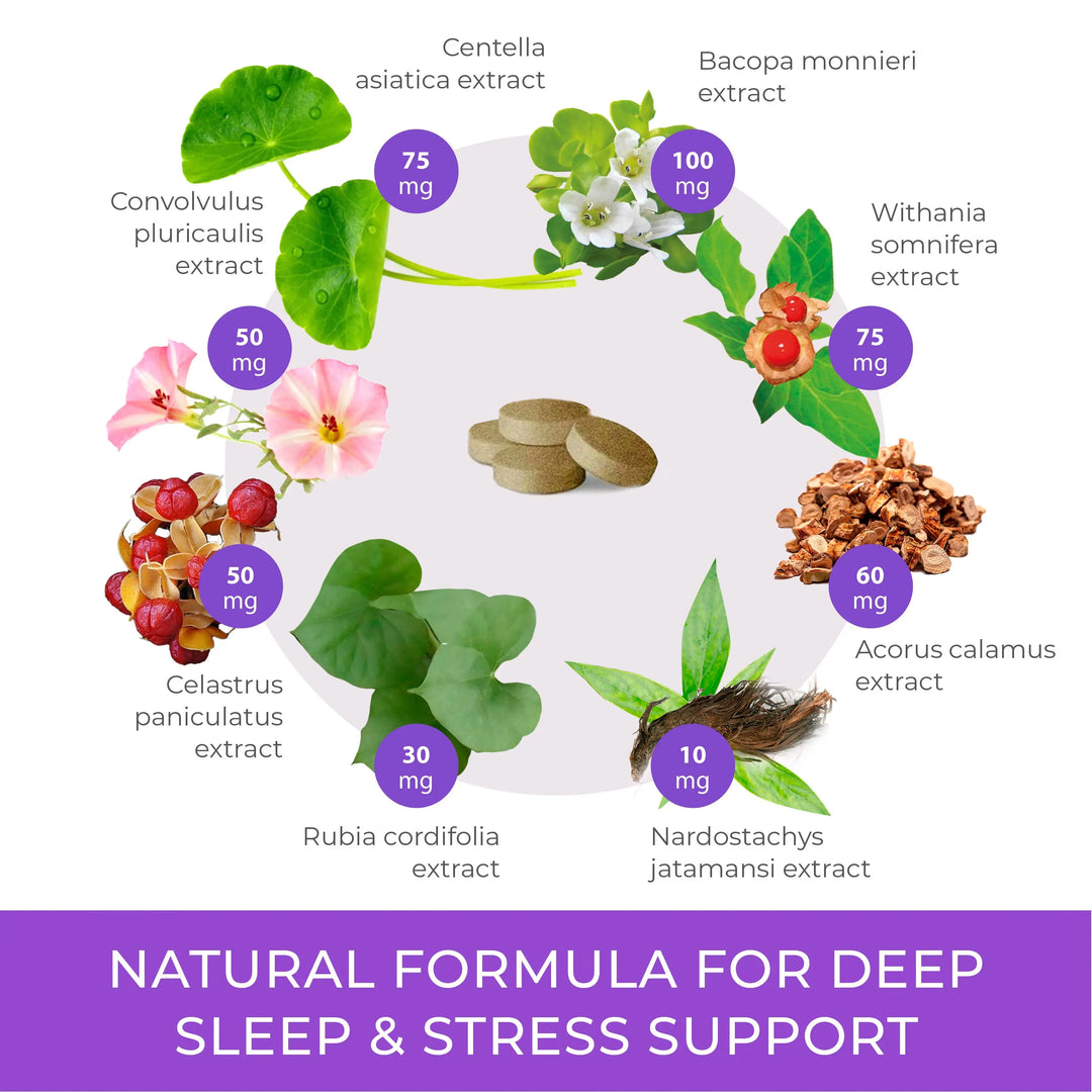 ANANTAVATI – Bacopa Sleep & Stress Relief Support, 120 Veg Tablets Ananta Medicare