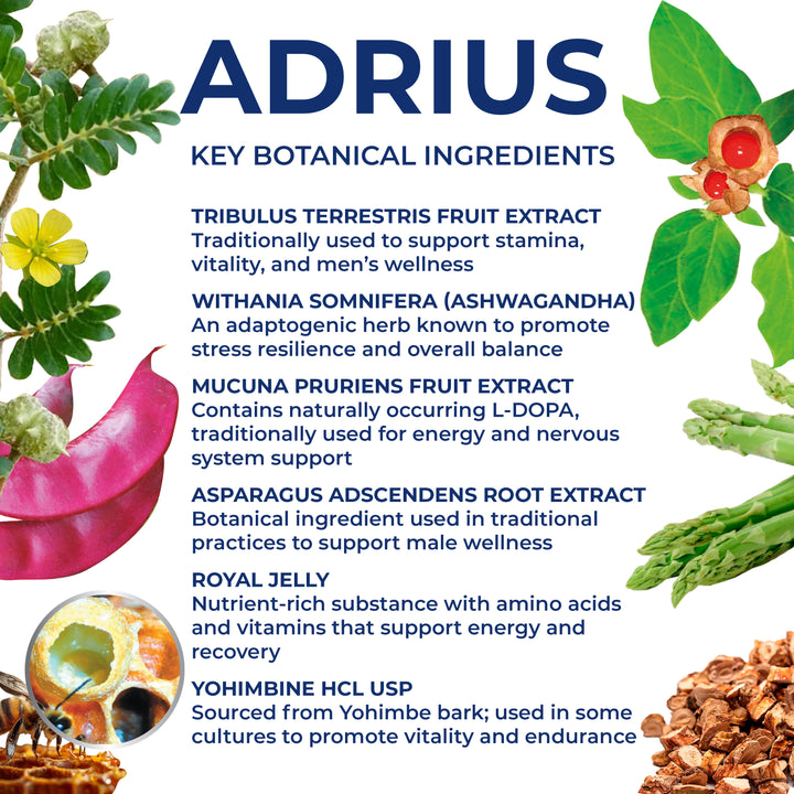 ADRIUS – Testosterone Booster for Men – 90 Capsules (Copy) Ananta Medicare